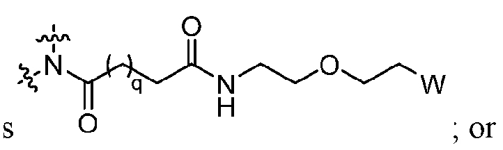 Figure imgf000006_0004