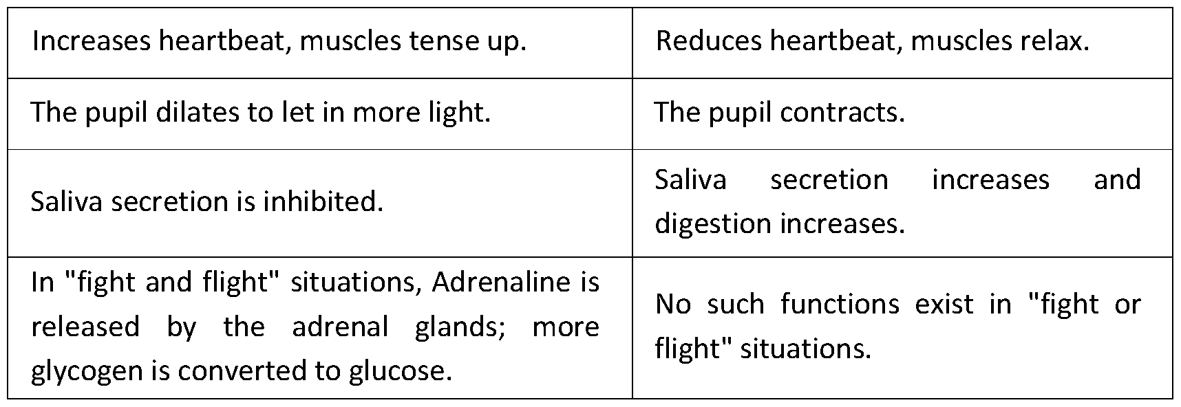 Figure imgf000005_0001