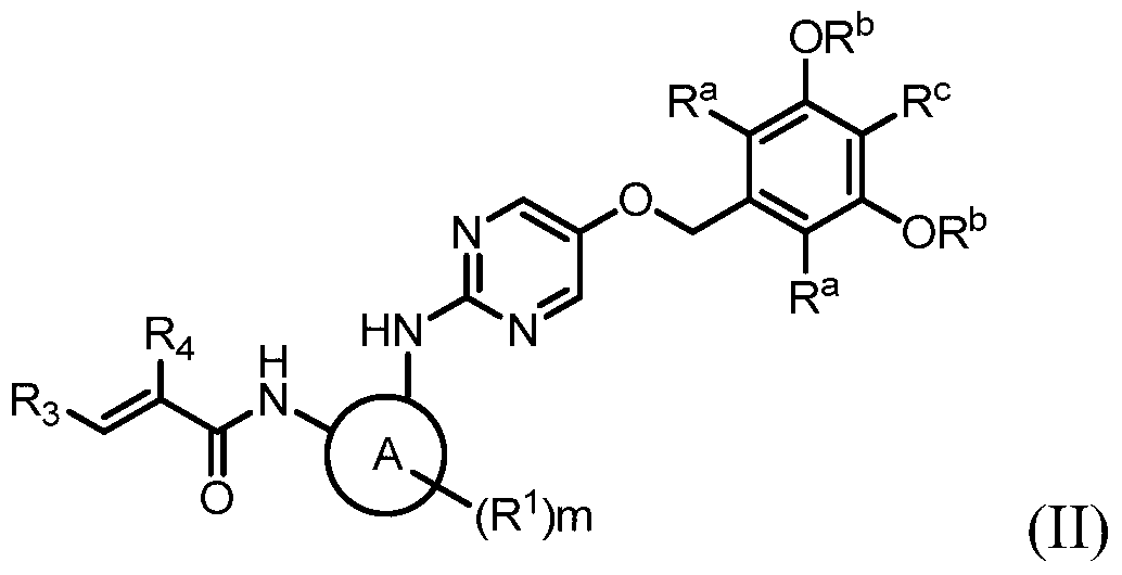 Figure PCTCN2017106667-appb-000010