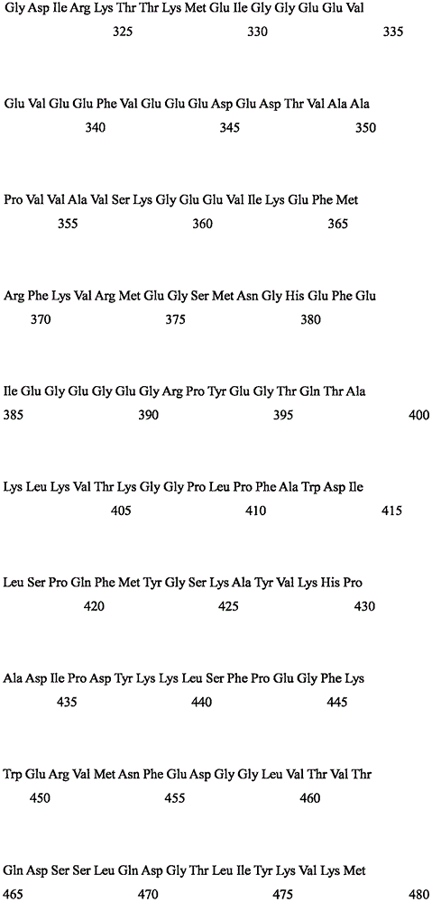 Figure IPA0000261779010000141