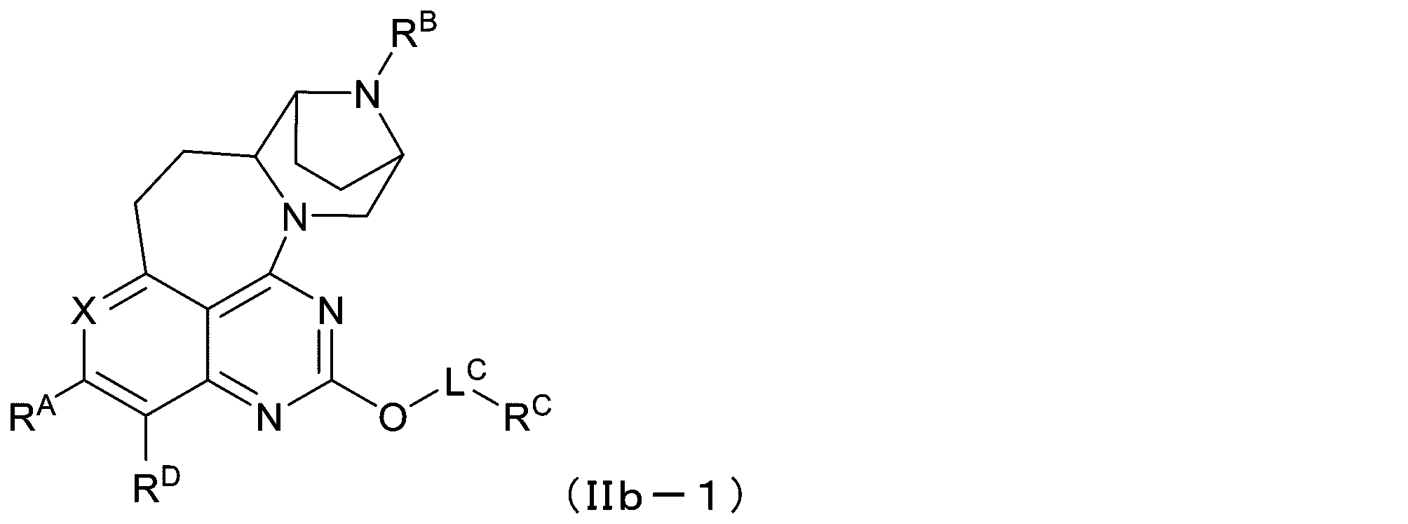 Figure 2025513258000918