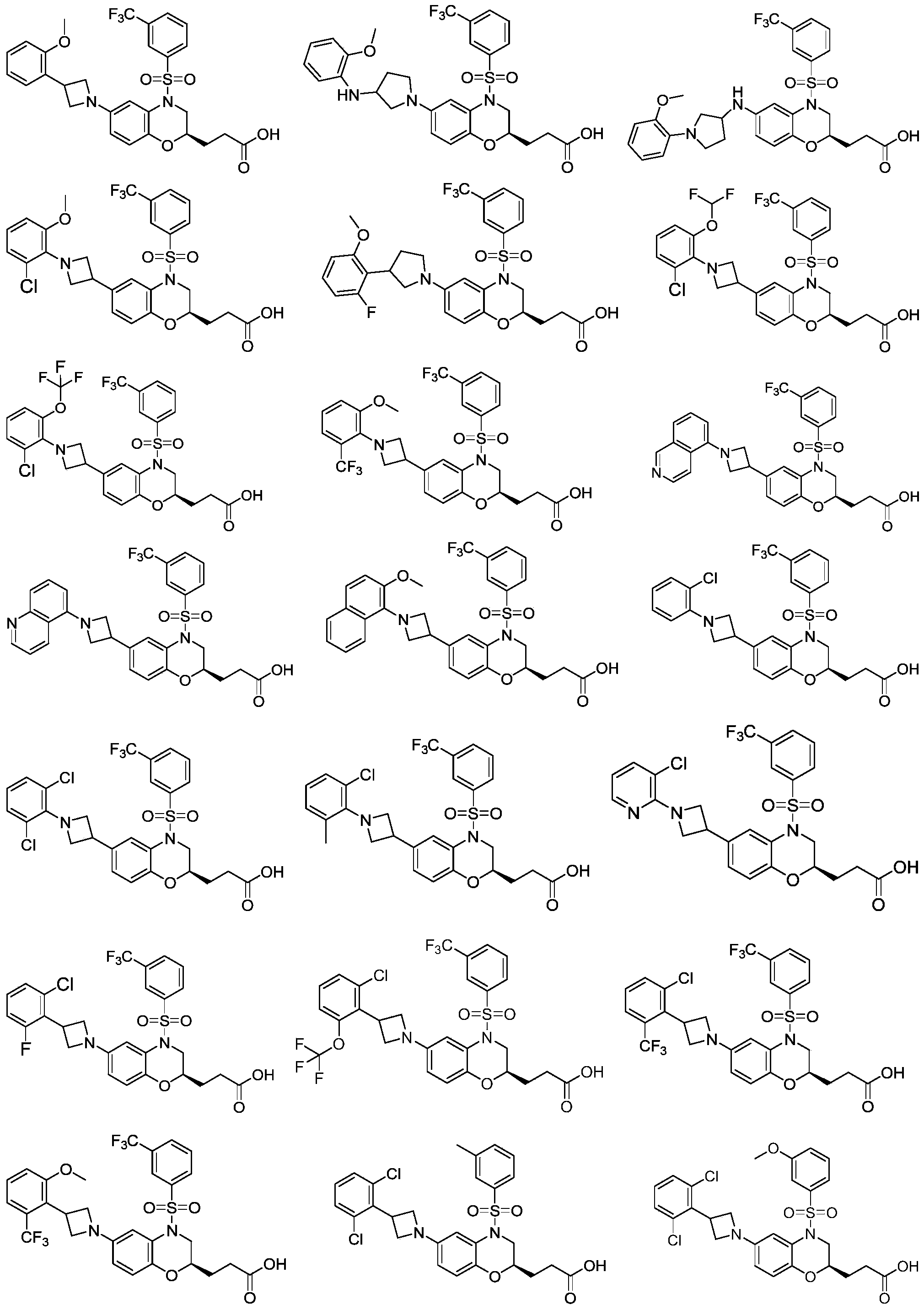 Figure PCTCN2022111884-appb-100024