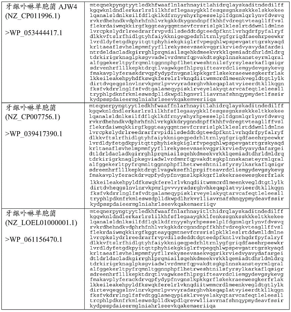 Figure BDA0002313867470003631