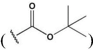 Figure FDA0002916459320000021