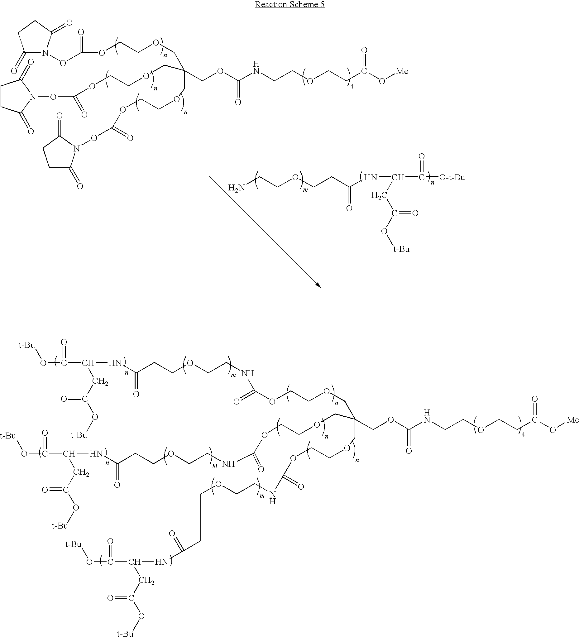 Figure US20100286355A1-20101111-C00026