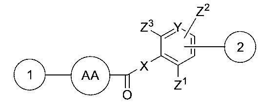 Figure 0007442821000073