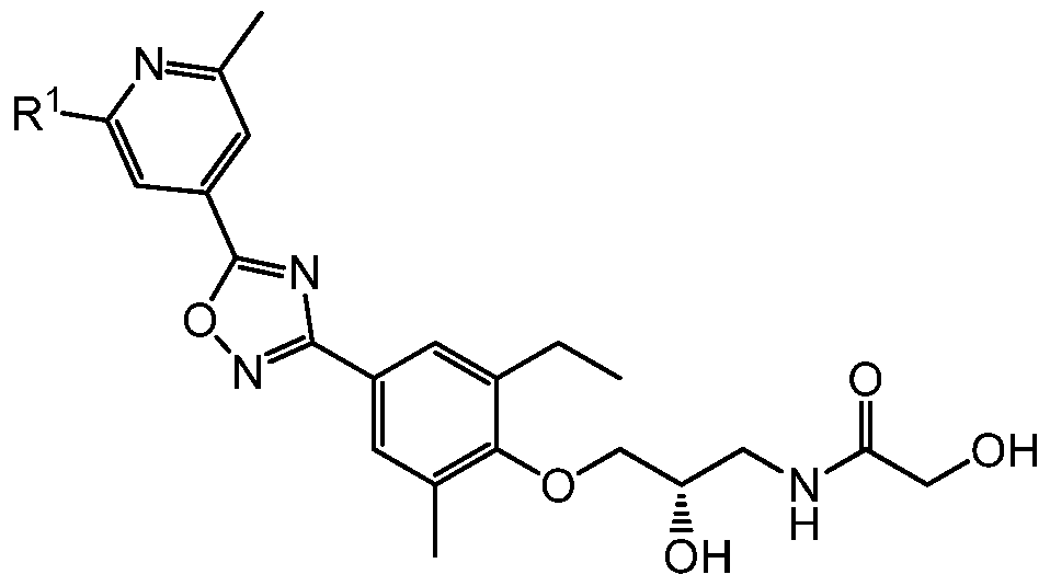 Figure imgf000006_0001