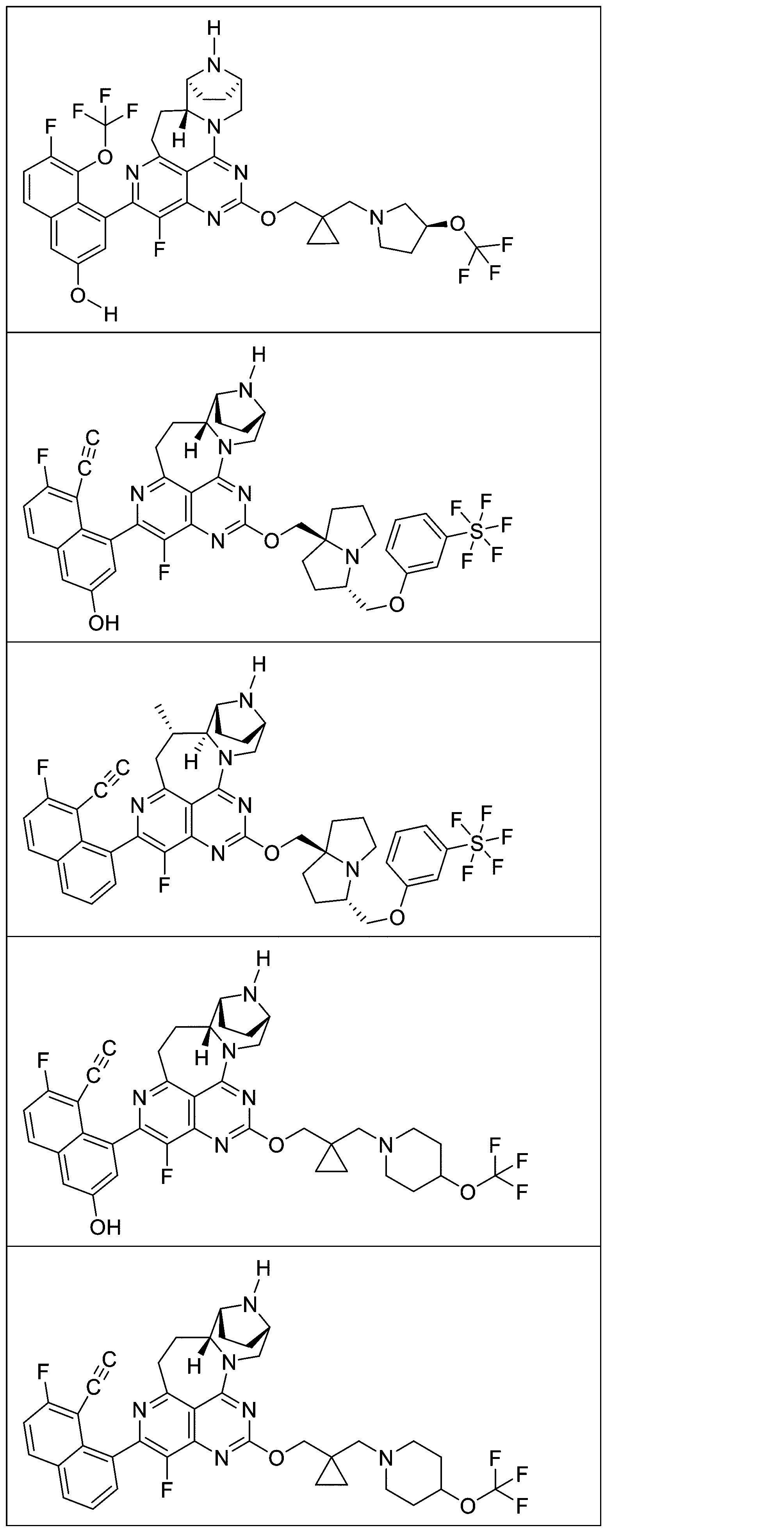 Figure 2025513258000093