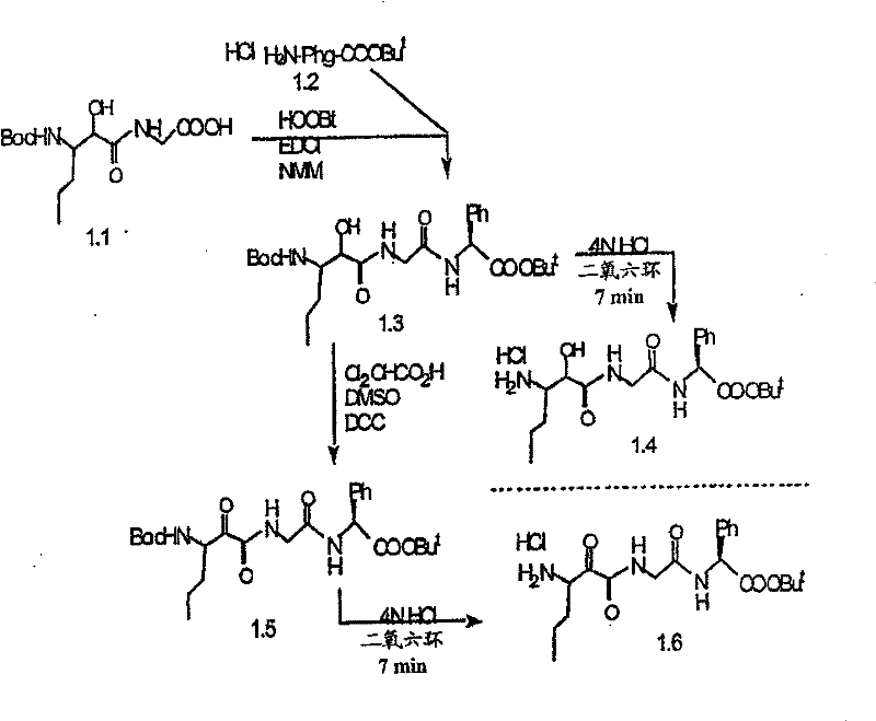 Figure BSA00000554725400941