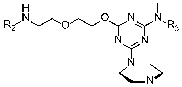 Figure imgf000014_0001