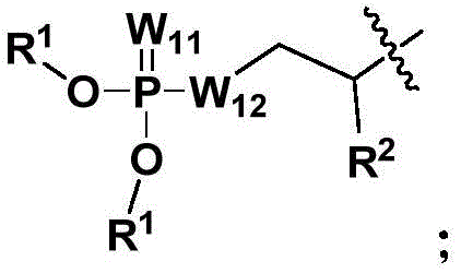 Figure FDA0003373406770000023