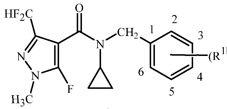 Figure imgf000163_0002