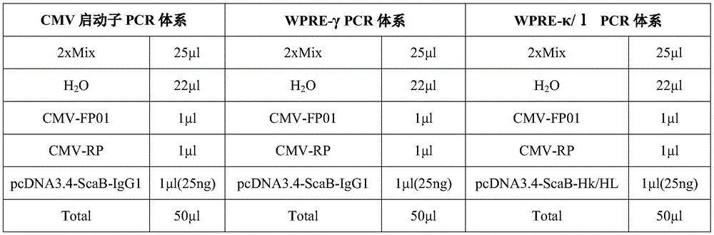 Figure BDA0002641053450000081