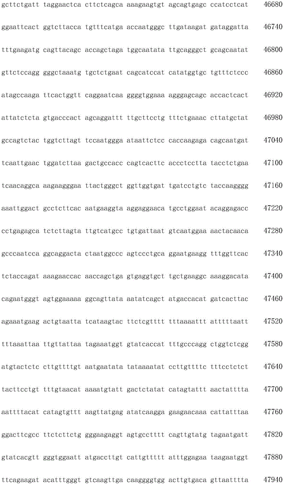 Figure IDA0003936212790000551