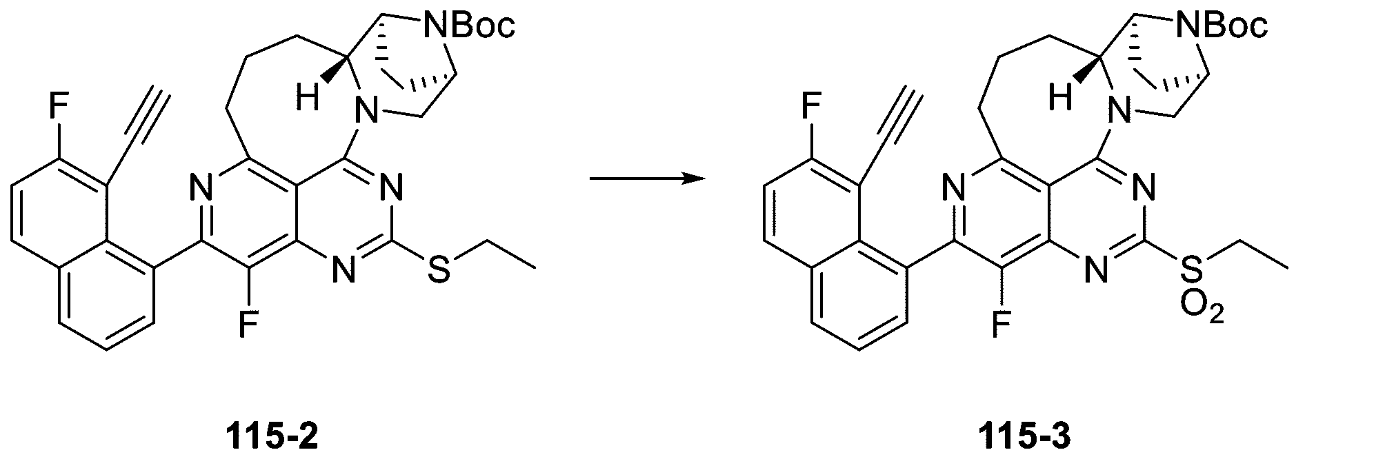 Figure 2025513258000423