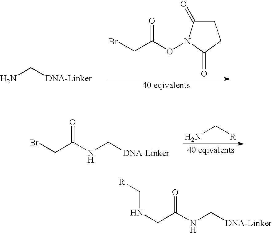 Figure US20050158765A1-20050721-C00029