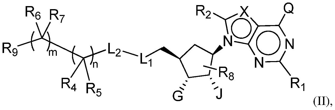 Figure imgf000018_0001