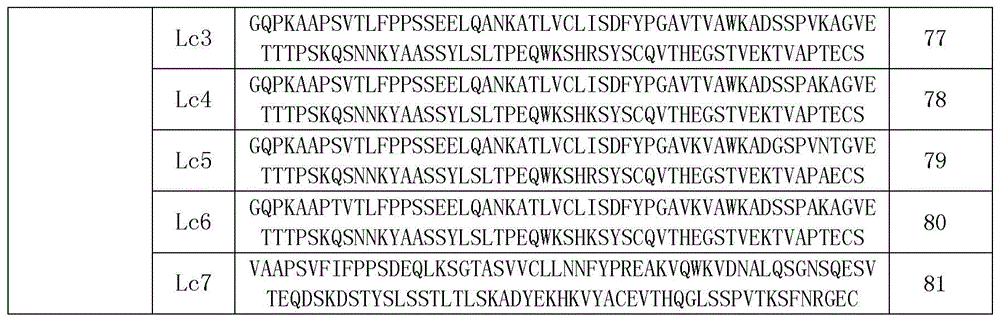 Figure BDA0002336612250000511