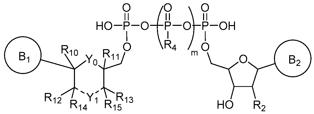 Figure imgf000003_0001
