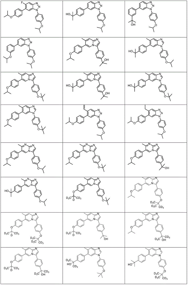 Figure FDA0003101608290000101