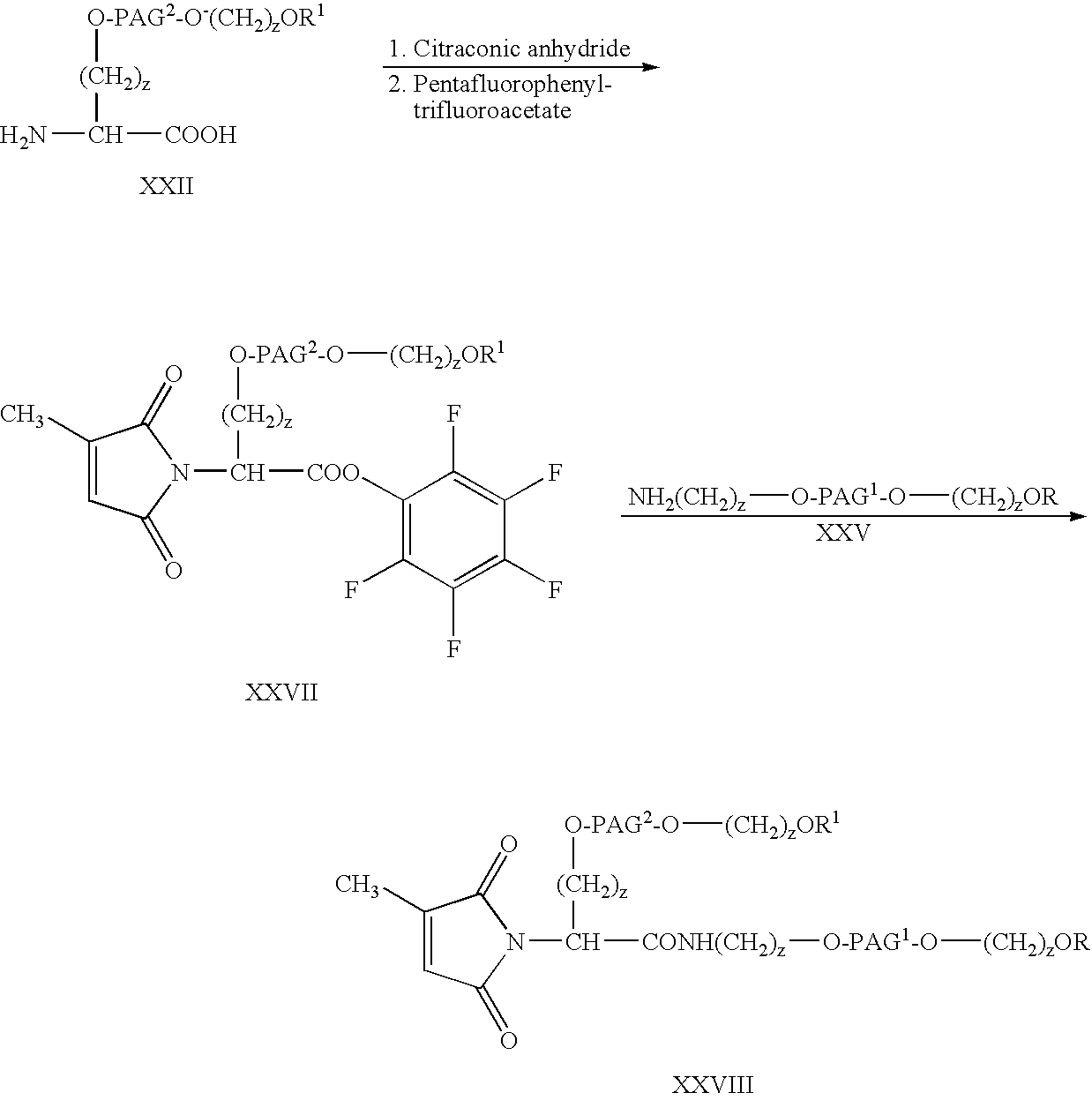 Figure US20070141021A1-20070621-C00021
