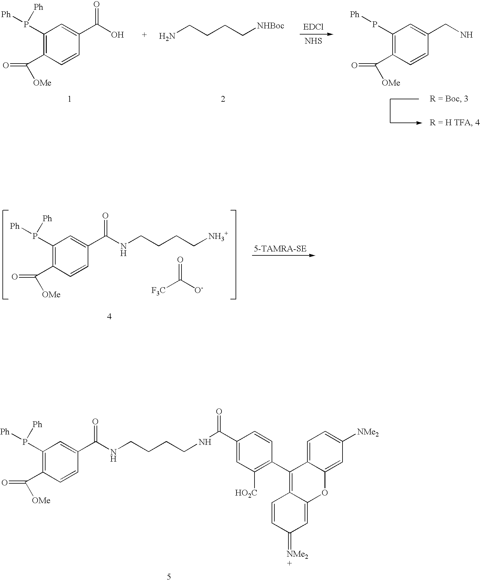Figure US20070249014A1-20071025-C00010