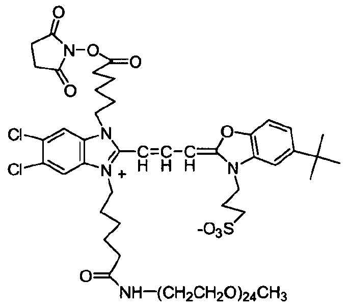 Figure imgf000098_0002