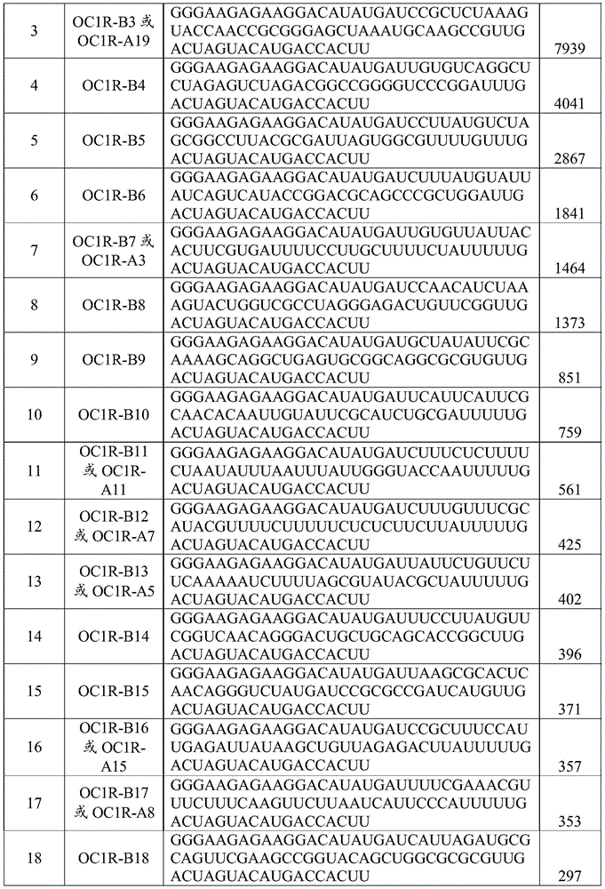 Figure BDA0002402678590000401