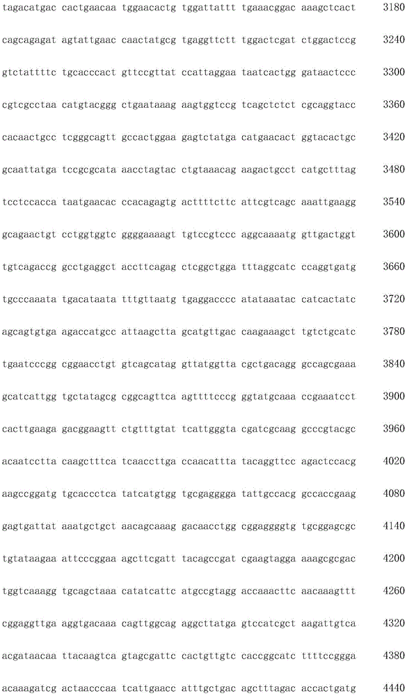 Figure IDA0002872168960000561