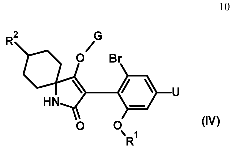 Figure imgf000011_0001