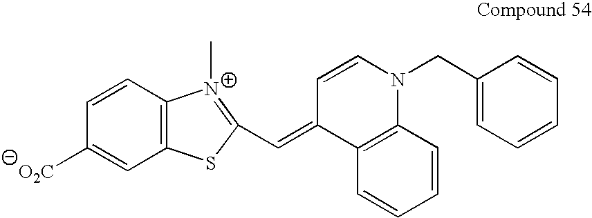 Figure US20090047683A1-20090219-C00072