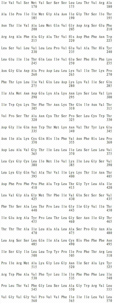 Figure IDA00001948136700031