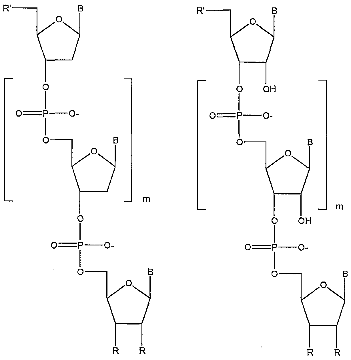 Figure imgf000012_0001