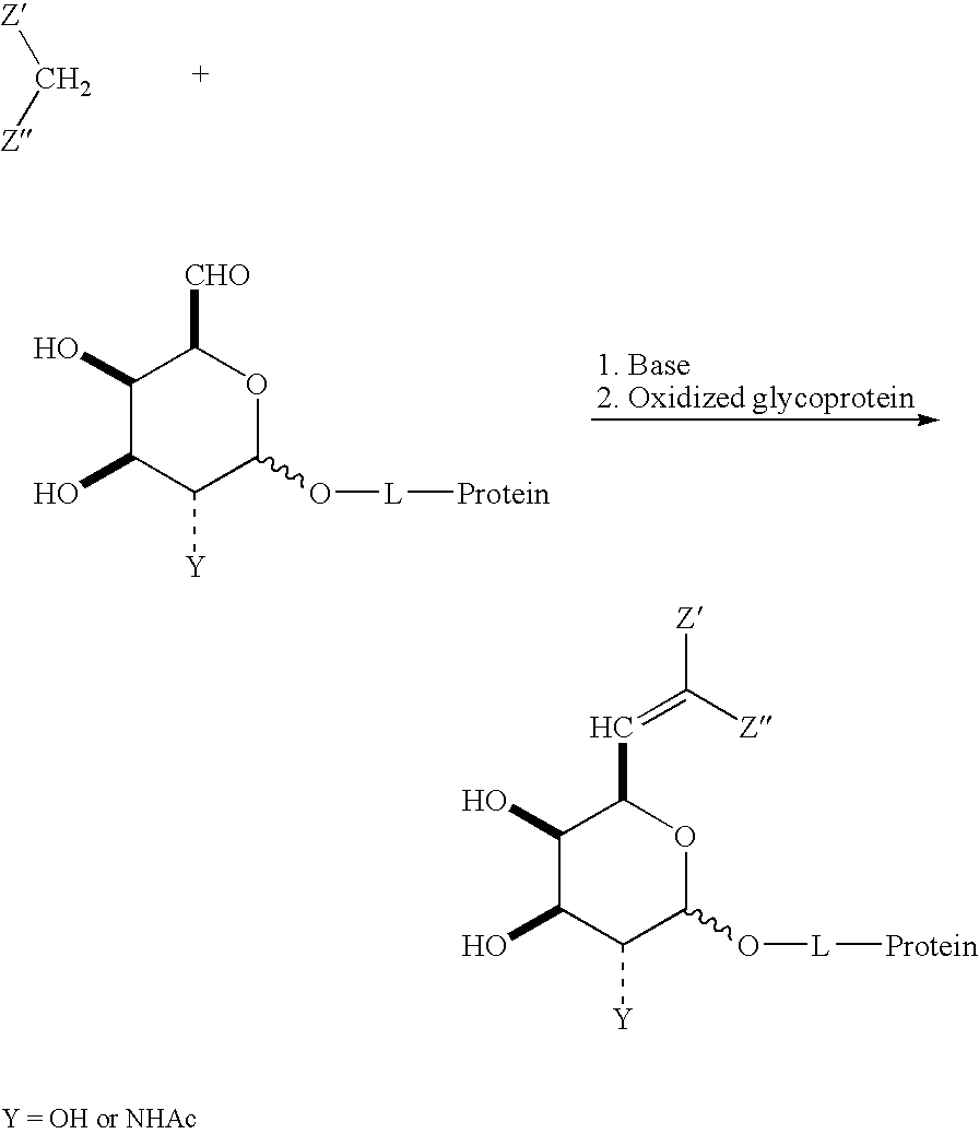 Figure US20060198819A1-20060907-C00079