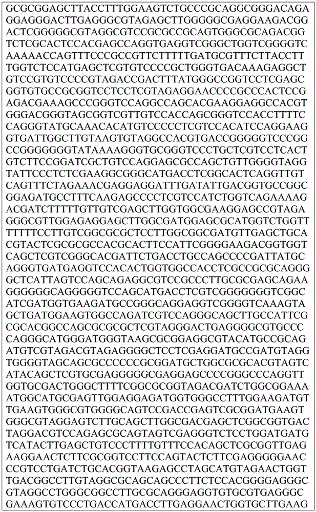 Figure BDA0002872168850001651