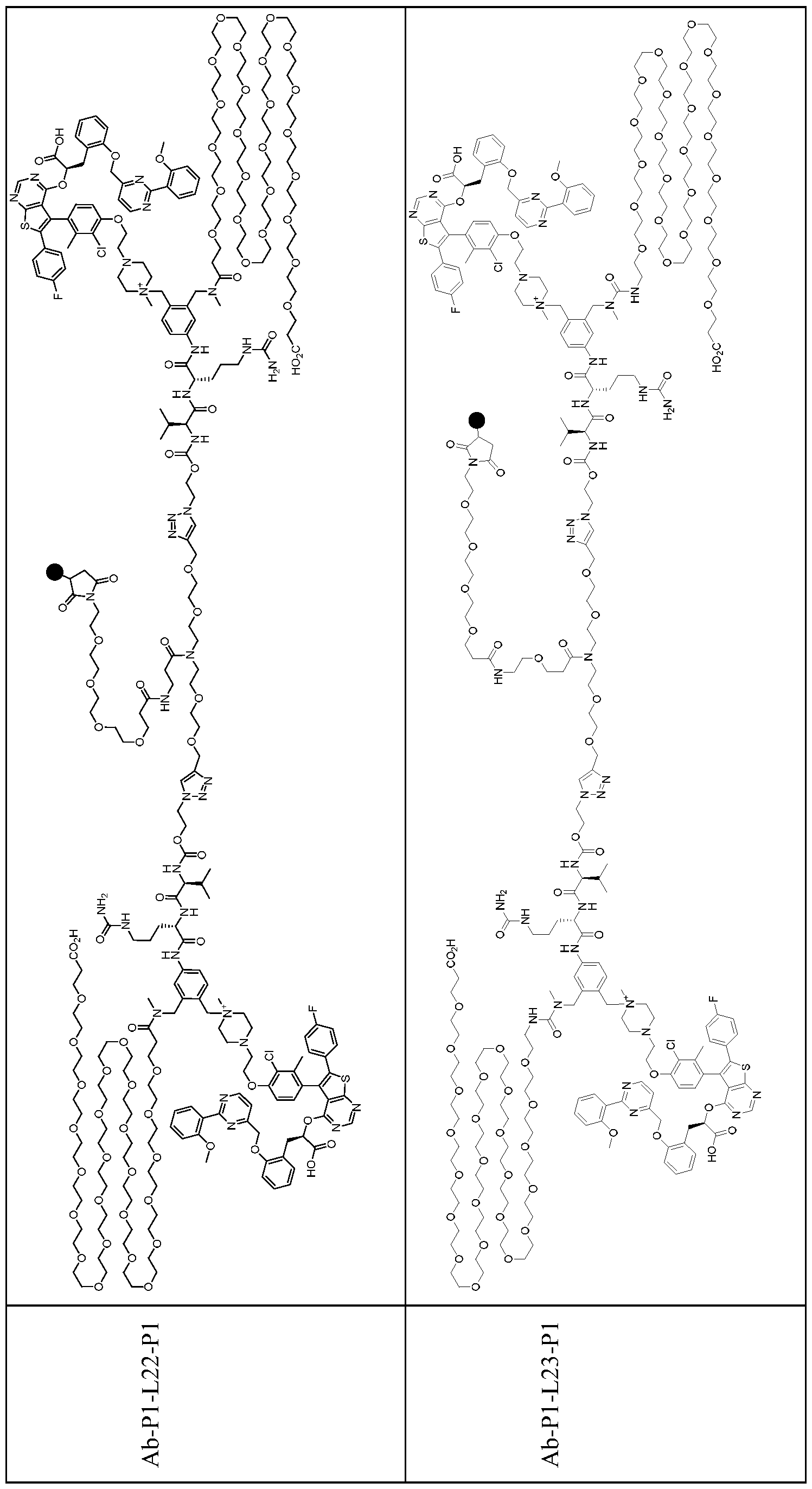 Figure imgf000174_0001