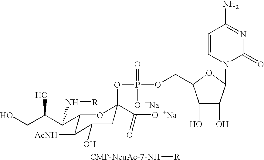 Figure US20080242607A1-20081002-C00051