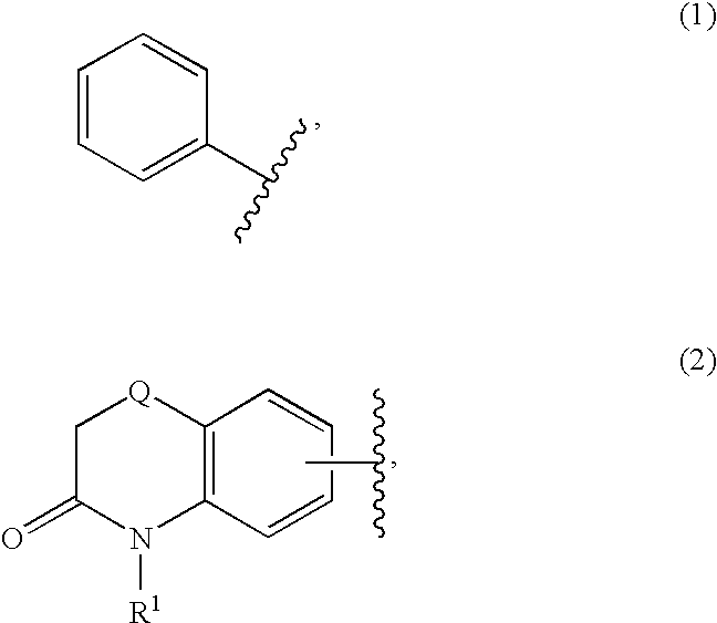 Figure US20070203161A1-20070830-C00060