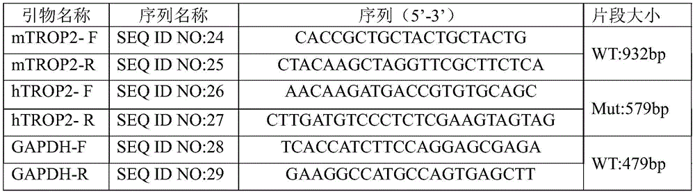 Figure BDA0003861247570000291