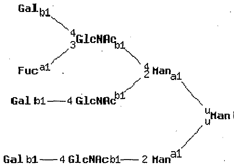 Figure imgf000171_0002