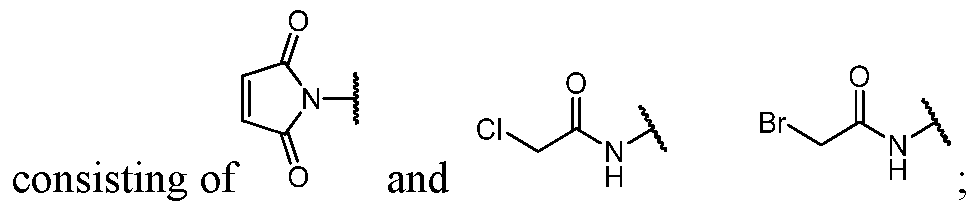 Figure imgf000005_0002