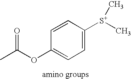 Figure US20070221884A1-20070927-C00121
