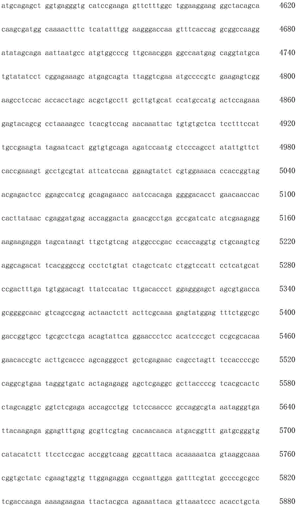 Figure IDA0002872168960002151