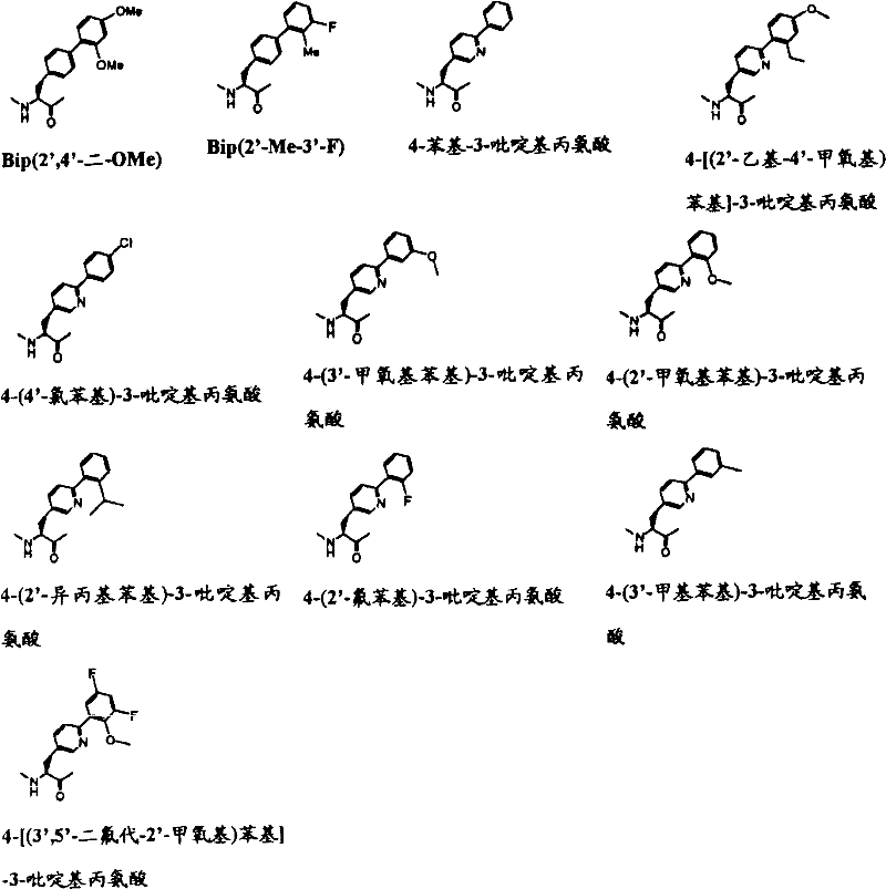 Figure B2005800295435D00961