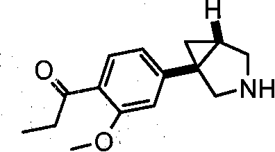 Figure S05812615520061025D000612