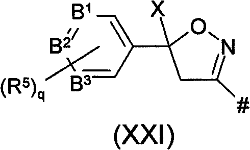 Figure BPA00001443922801022