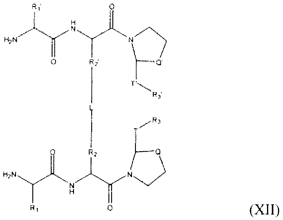 Figure imgf000013_0001