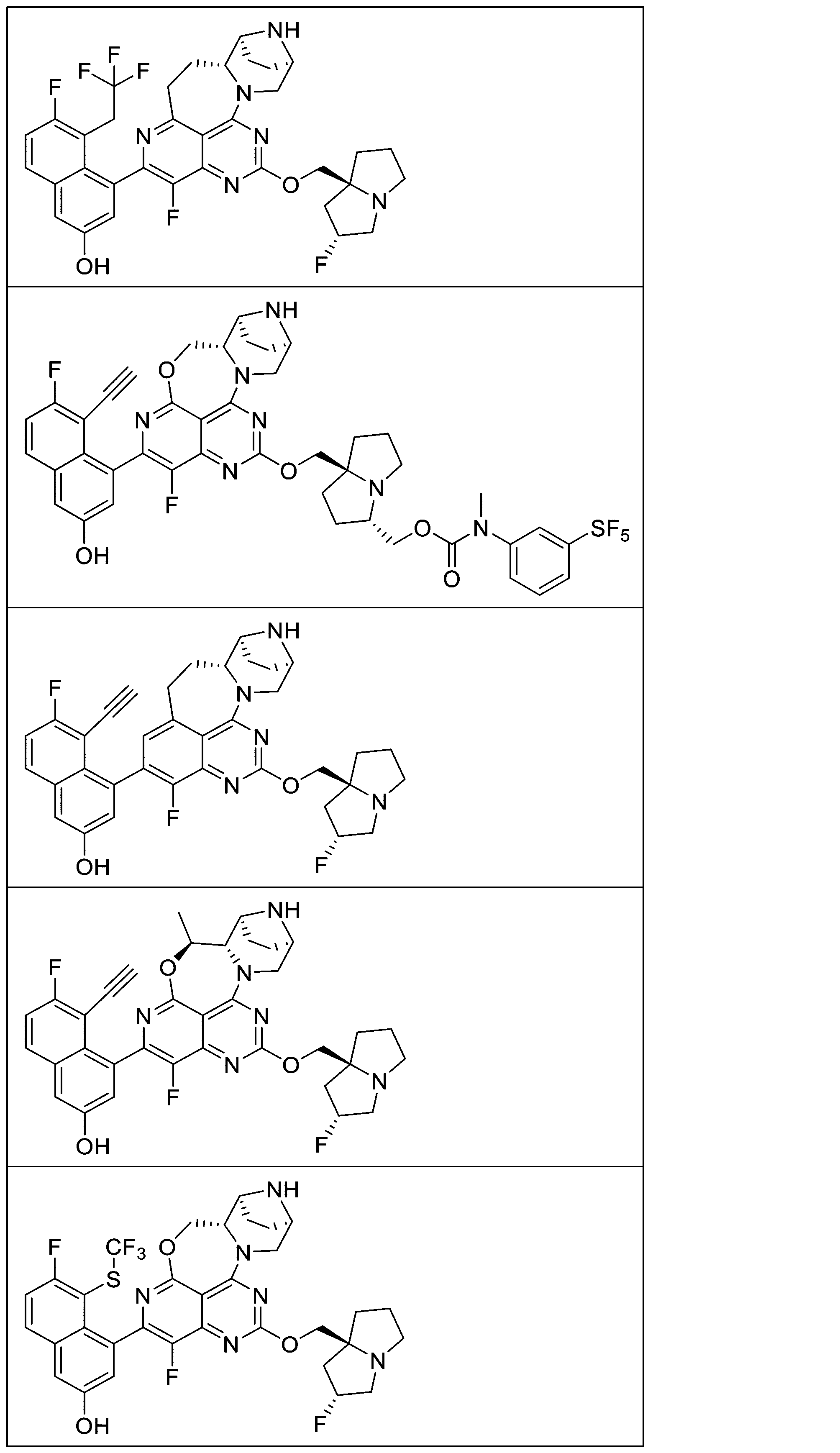 Figure 2025513258000958