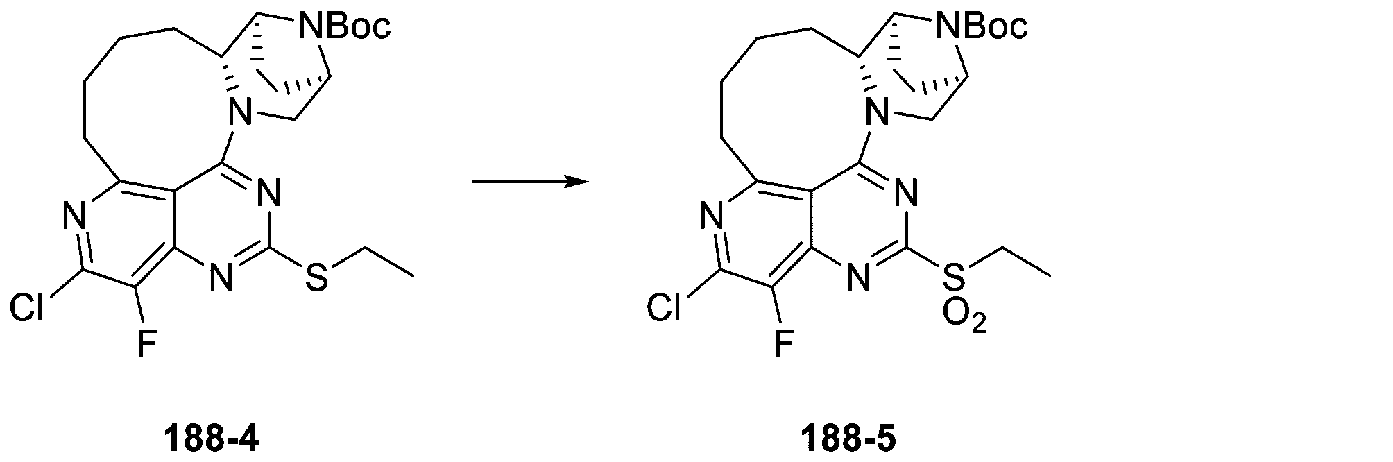 Figure 2025513258000604