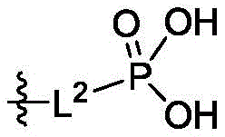 Figure FDA0003757769780000021